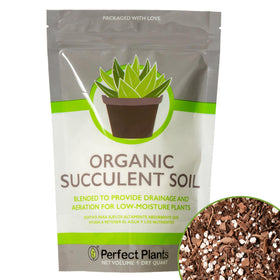 Perfect Plants succulent soil bag closeup supports healthy root growth