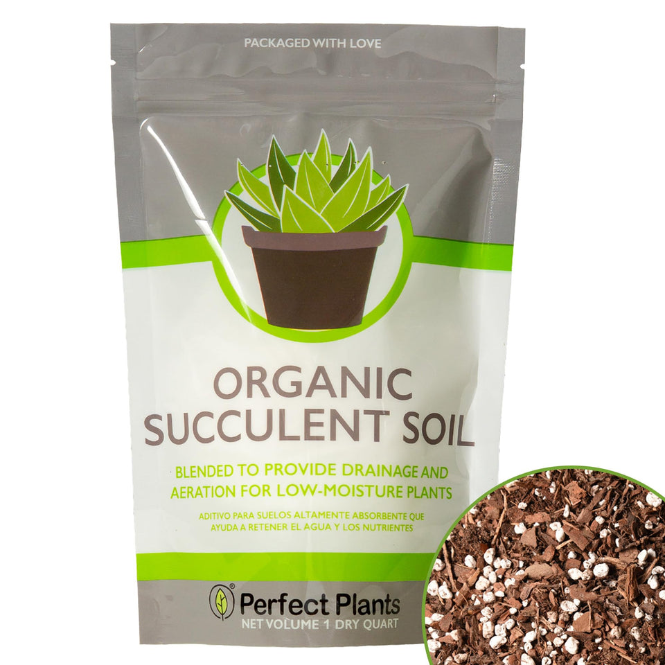 Perfect Plants succulent soil bag closeup supports healthy root growth
