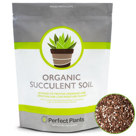 Perfect Plants succulent soil bag promotes drainage and healthy root growth.