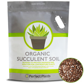 Perfect Plants succulent soil mix 8 qt bag ready for use in pots