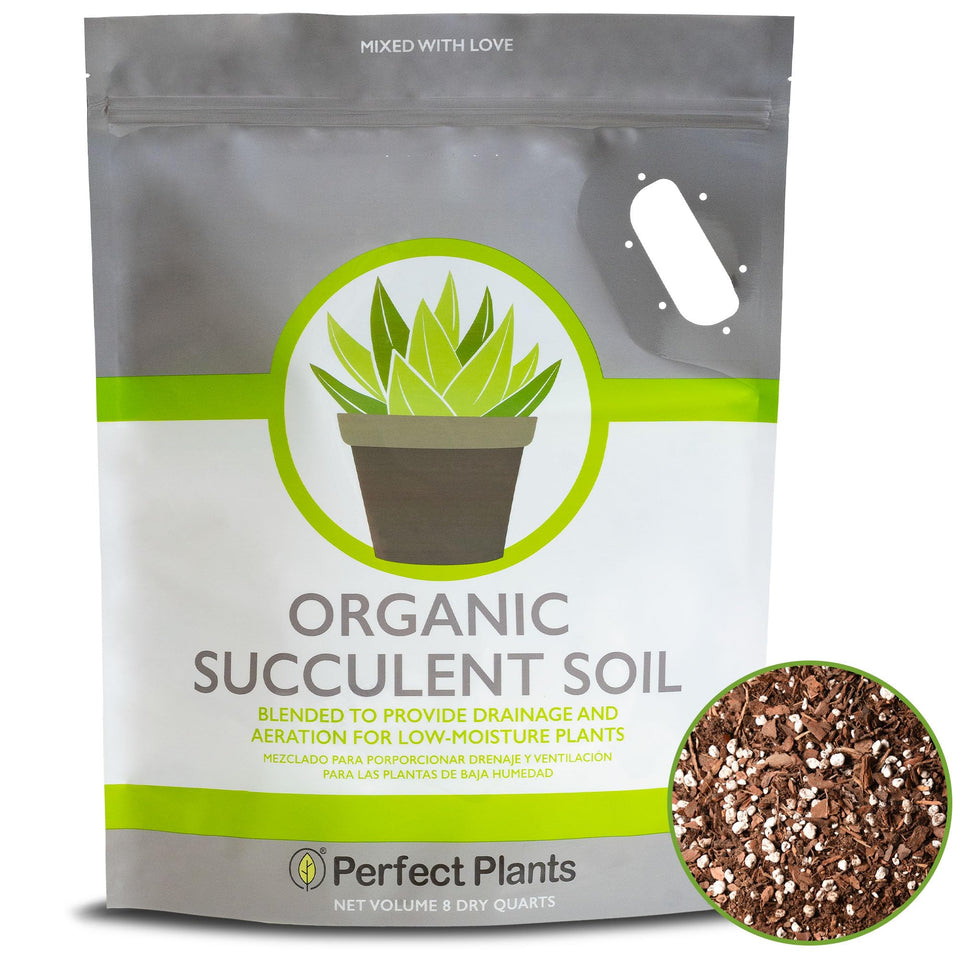Perfect Plants succulent soil mix 8 qt bag ready for use in pots
