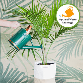 Perfect Plants USA farm-mixed soil ensures consistent quality