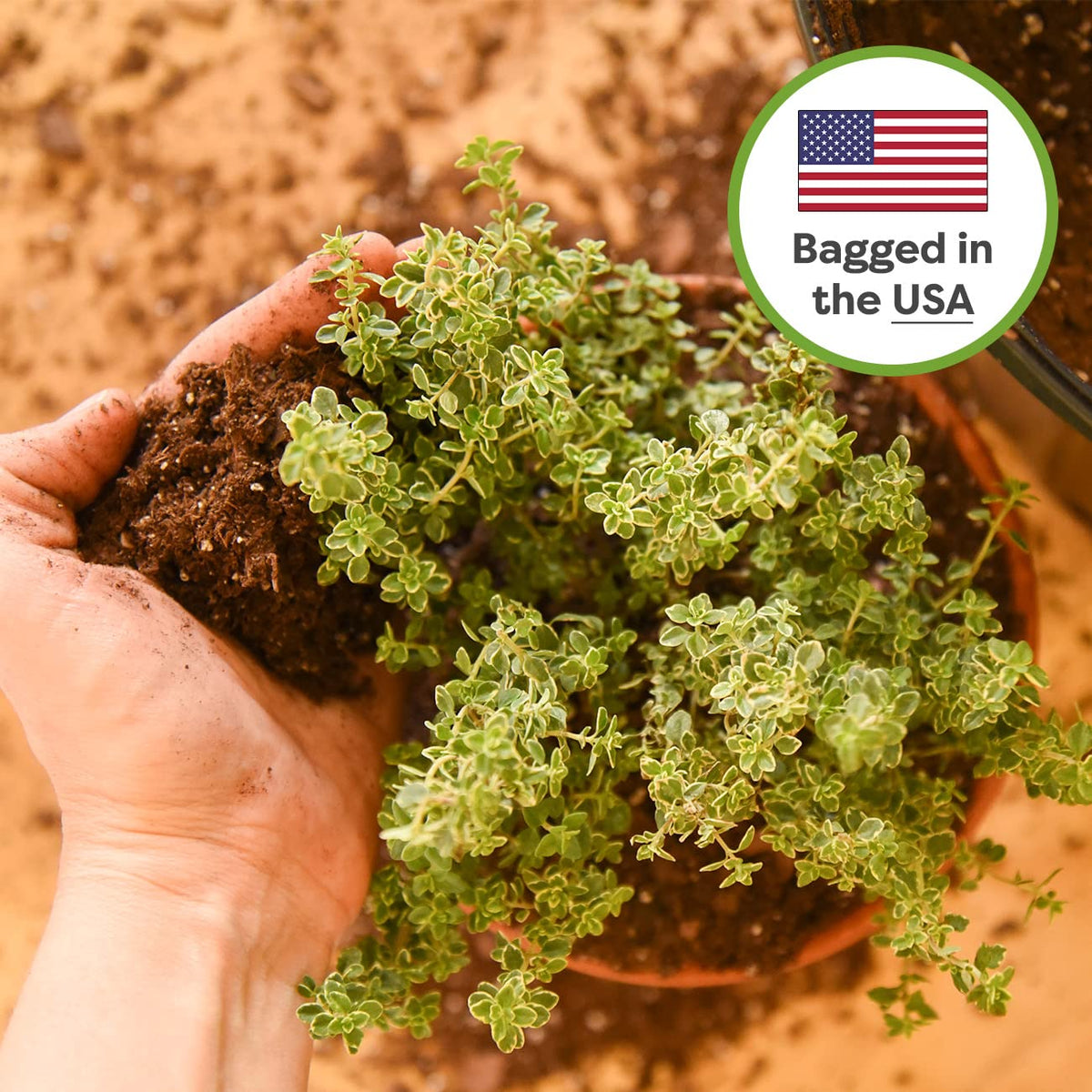 Perfect Plants versatile soil suitable for Monstera, Aloe, and more