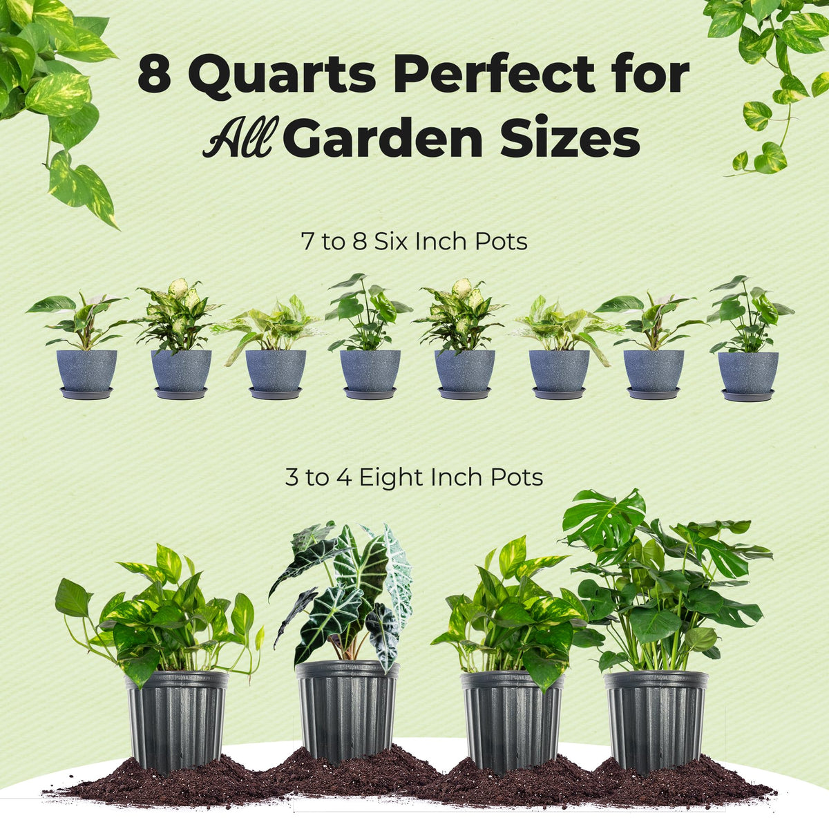 PERFECT PLANTS worm castings provide natural nutrients for roots.