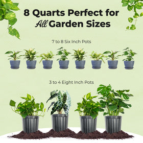 PERFECT PLANTS worm castings provide natural nutrients for roots.