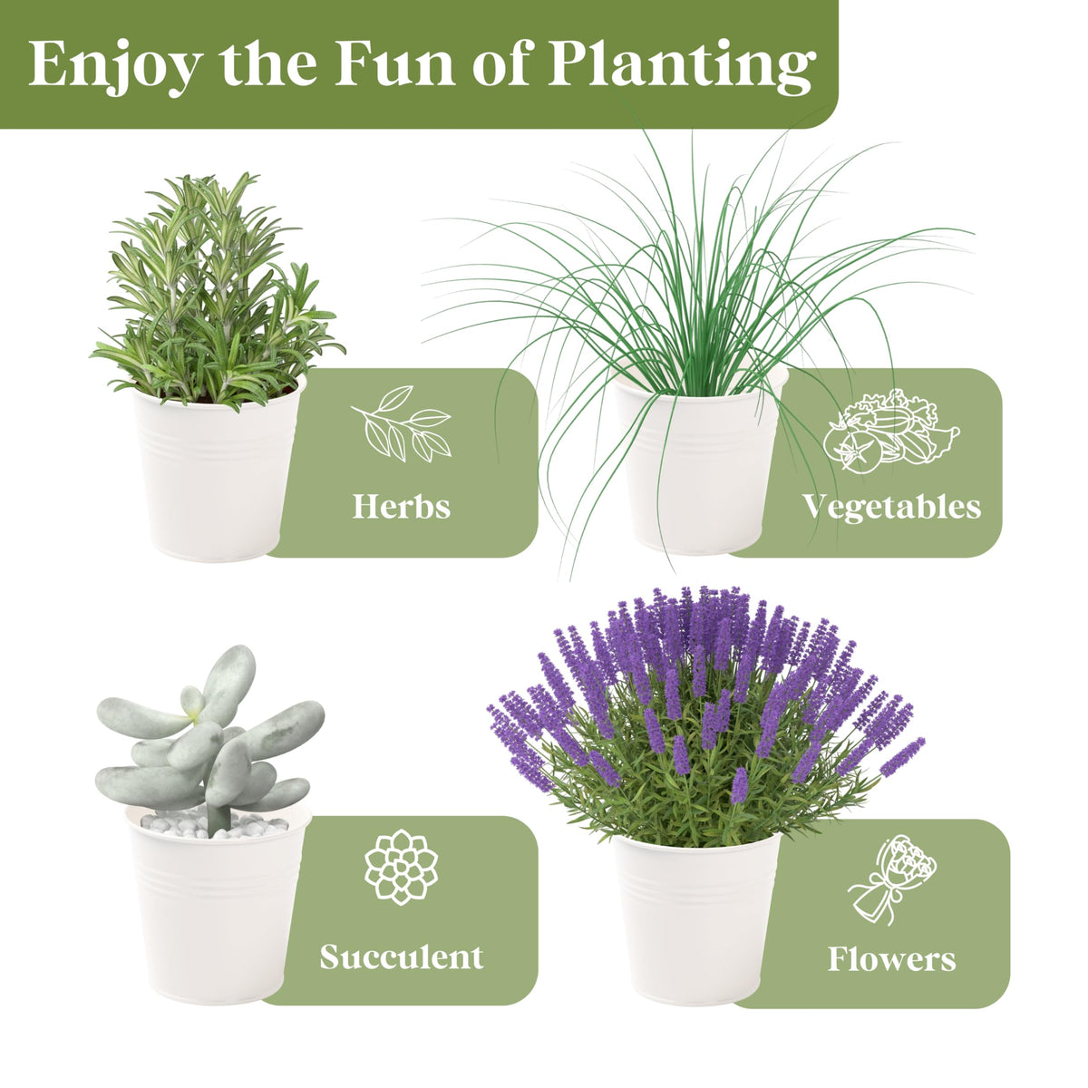 PERFNIQUE compact herb display fits windowsills, countertops, and small balconies.