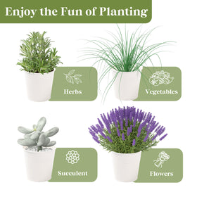 PERFNIQUE compact herb display fits windowsills, countertops, and small balconies.