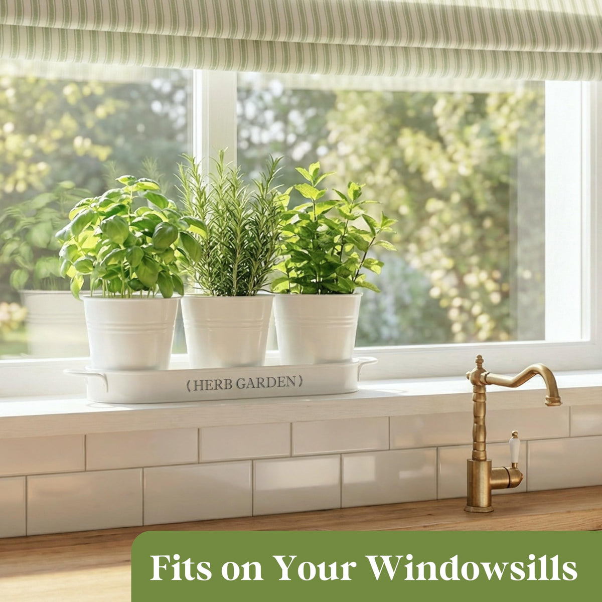 PERFNIQUE herb garden on kitchen counter offers year-round freshness in compact form.