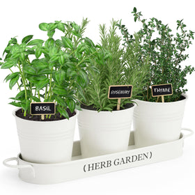 PERFNIQUE indoor herb garden planter with tray on a sunny windowsill for quick herb access.