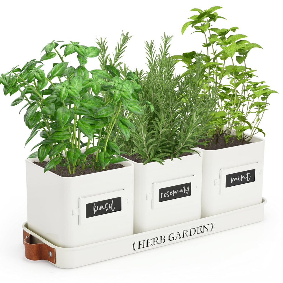 PERFNIQUE indoor herb planter with tray in glossy white for compact windowsill setups