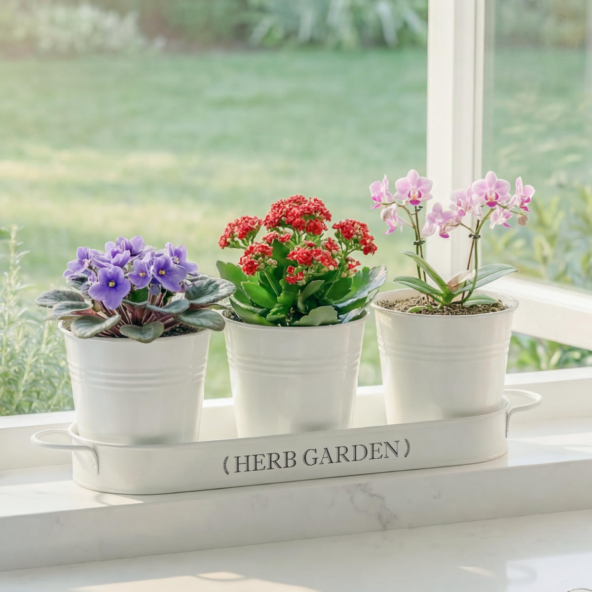 PERFNIQUE three pots with tray create an inviting herb corner.