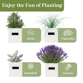 PERFNIQUE versatile small plant planter for herbs, flowers, or succulents