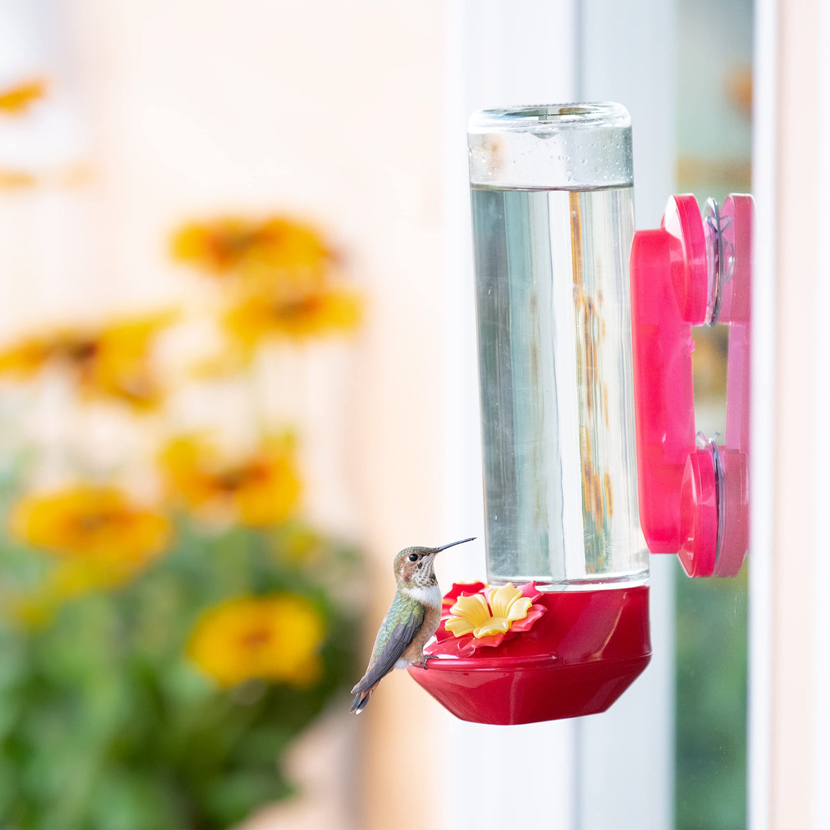 Two feeding ports help accommodate more birds during busy seasons.