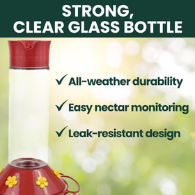 Perky-Pet 209B-1SR ant-guarded hummingbird feeder protecting nectar from ants outdoors.