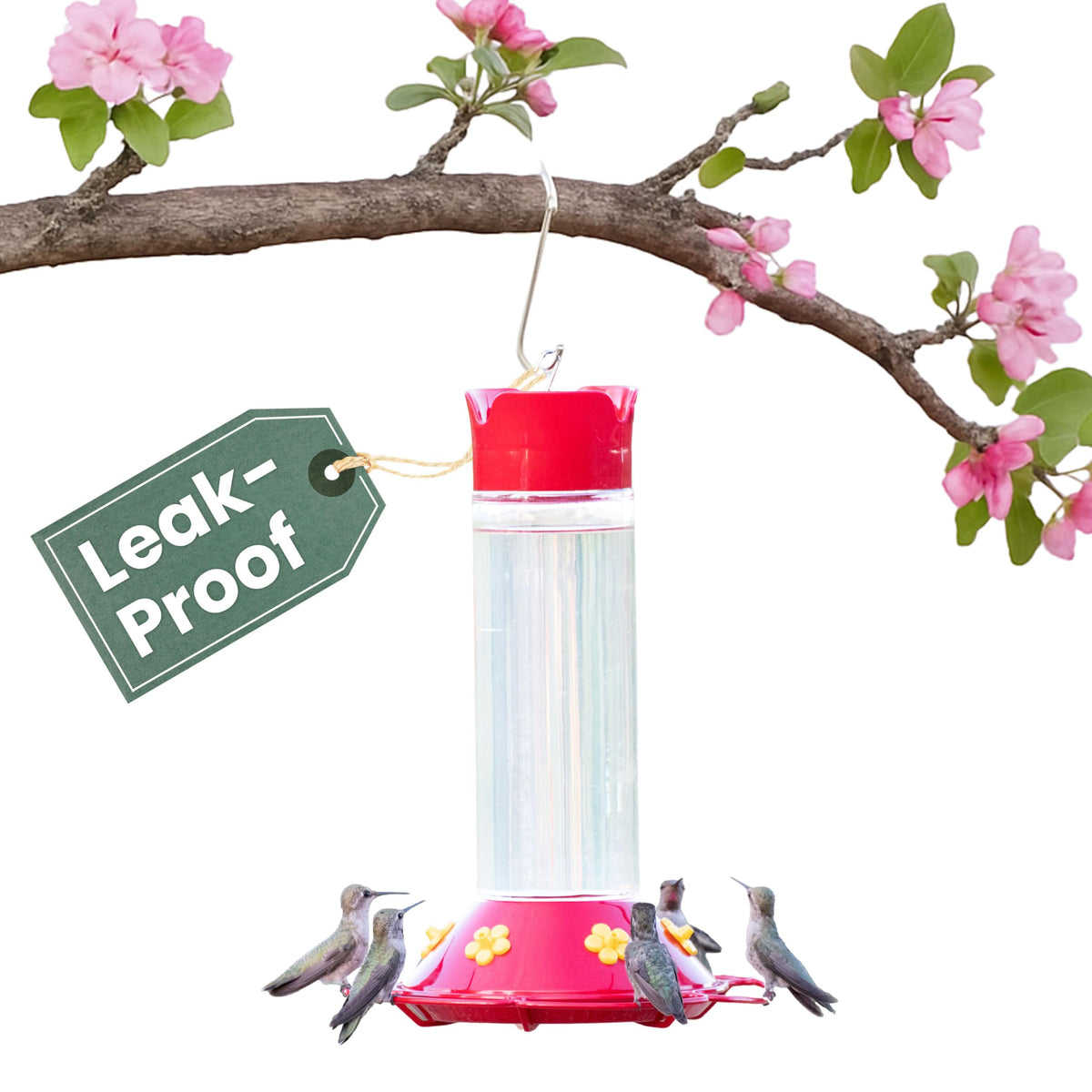 Perky-Pet 209B-1SR glass hummingbird feeder with a clear body for nectar monitoring and display.