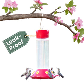 Perky-Pet 209B-1SR glass hummingbird feeder with a clear body for nectar monitoring and display.