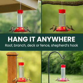 Perky-Pet 209B-1SR six feeding stations supporting multiple hummingbirds at once.
