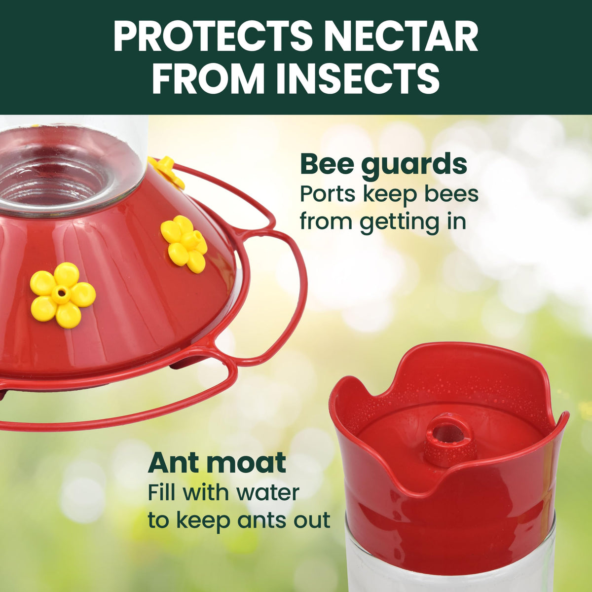 Perky-Pet 209B-1SR wide-mouth fill for quick, mess-free refilling of nectar.