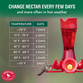 Feeder scene attracting hummingbirds with Perky-Pet nectar.