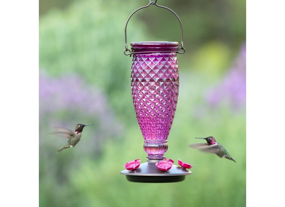 Perky-Pet 24-ounce nectar capacity reduces refills during garden visits.