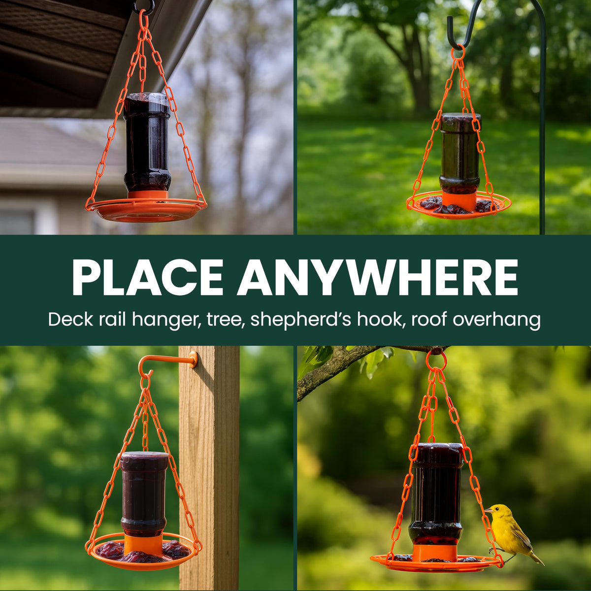 Perky-Pet 253 bright orange tray draws orioles to the feeder