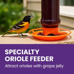 Perky-Pet 253 inverted jar protection feature keeps jelly dry outdoors