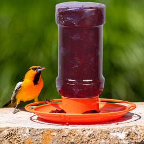 Perky-Pet 253 weather resistant jelly feeder ready for outdoor use