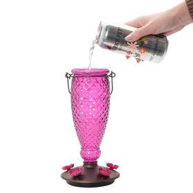 Backyard hummingbird feeding setup with Perky-Pet nectar