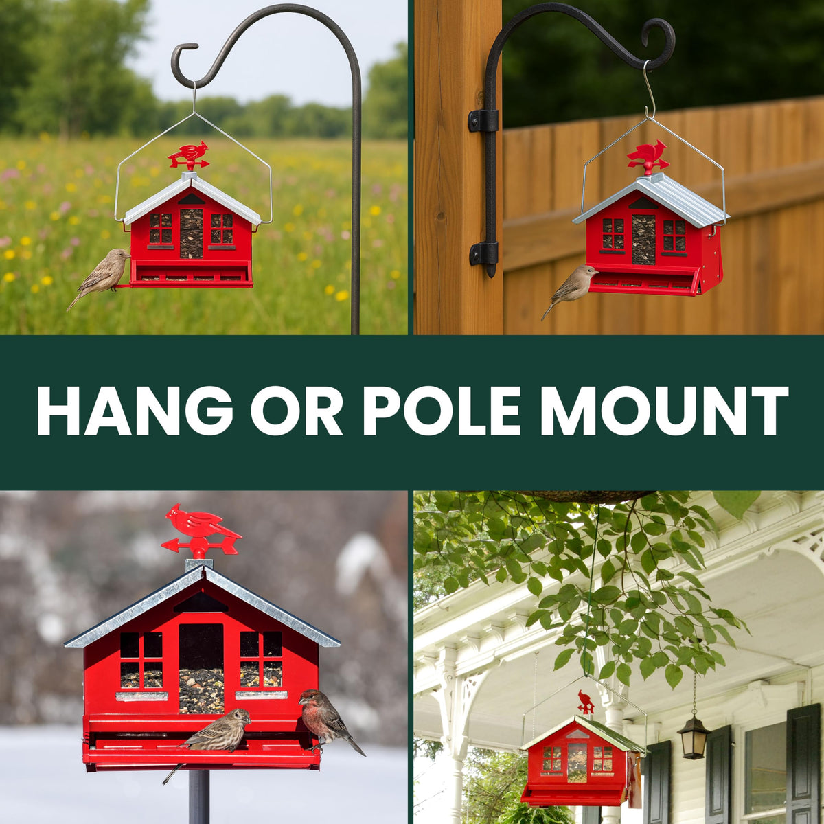 8 lb seed capacity keeps birds fed longer
