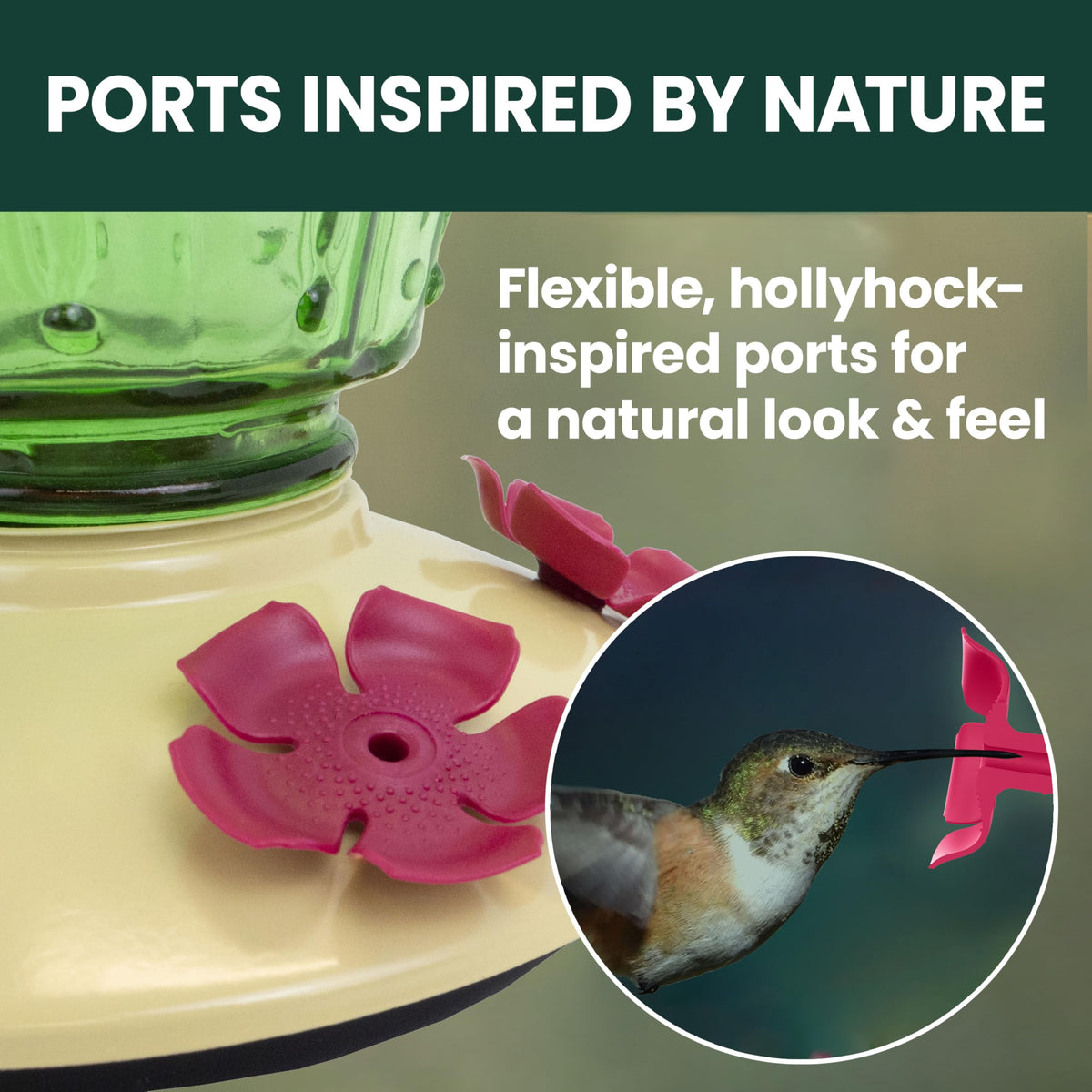 Perky-Pet Cactus bee guard ports help keep nectar cleaner for birds.