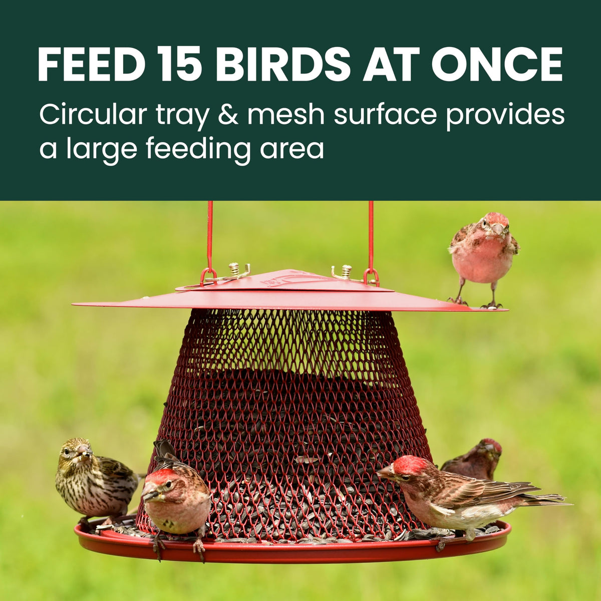 Perky-Pet diamond mesh surface creates a wide feeding area