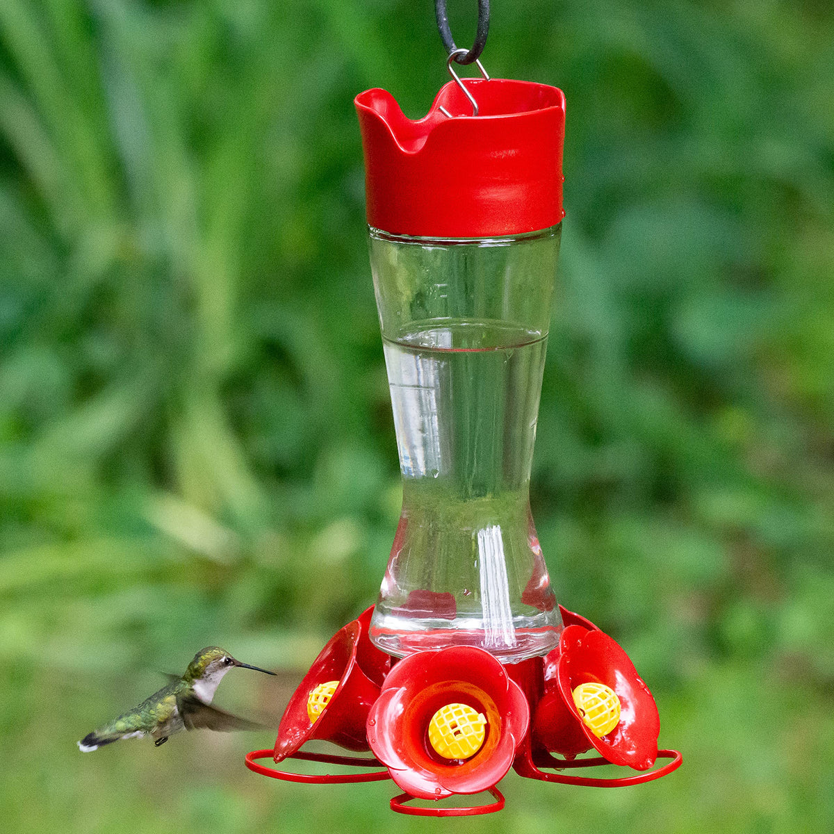 Perky-Pet Favored Pinch-Waist Hummingbird Feeder with ant moat deterring intruders