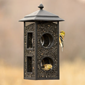 Perky-Pet Fly-Thru Feeder 2 lb capacity keeps seed supply ready for busy feeders.