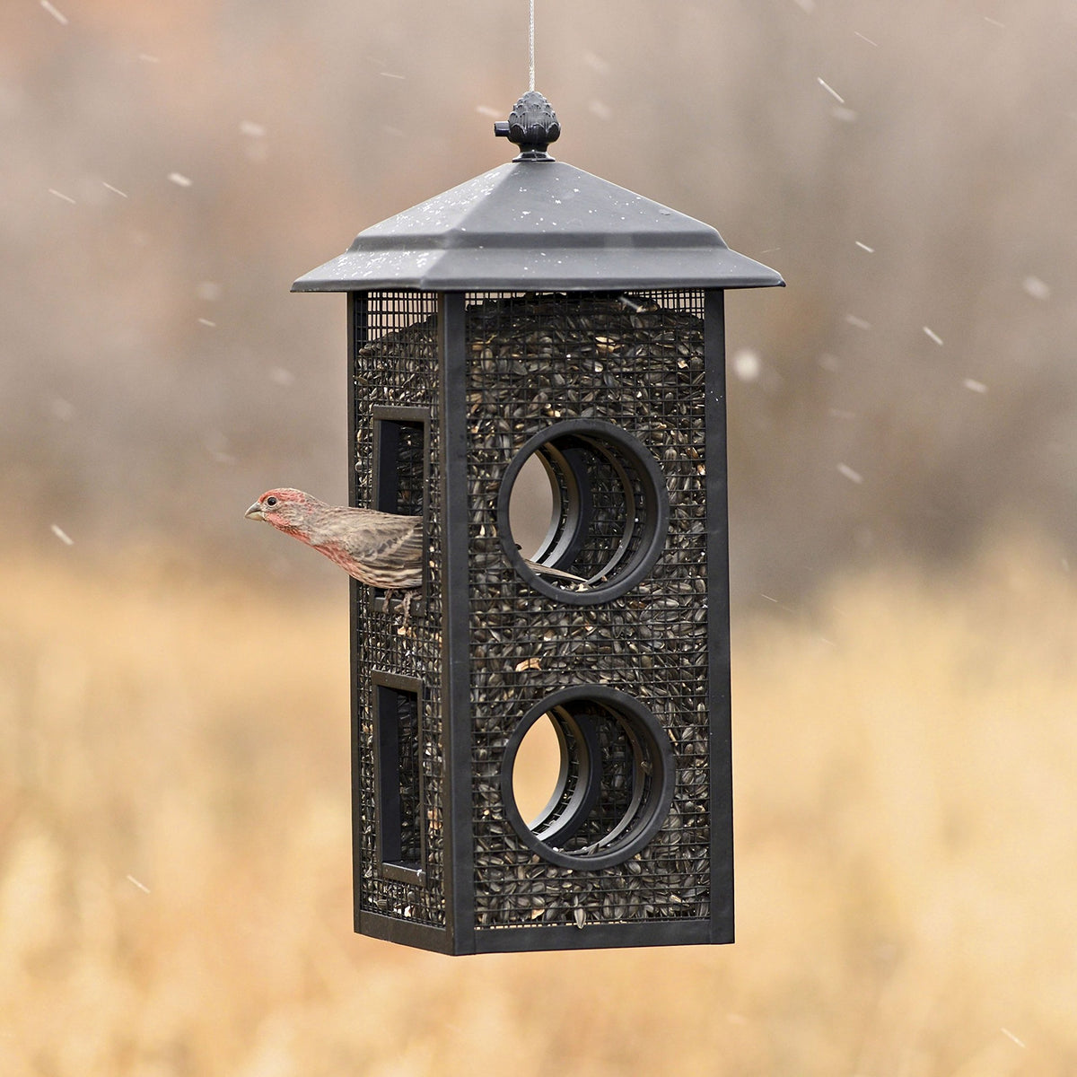 Perky-Pet Fly-Thru Feeder all-metal construction ensures durable year-round use.