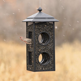 Perky-Pet Fly-Thru Feeder all-metal construction ensures durable year-round use.
