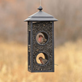 Perky-Pet Fly-Thru Feeder two perching stations let birds dine comfortably.