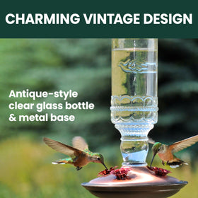 Four decorative ports on the Perky-Pet feeder inviting multiple hummingbirds to feed.
