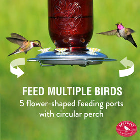 Perky-Pet galvanized base and circular perch for outdoor durability