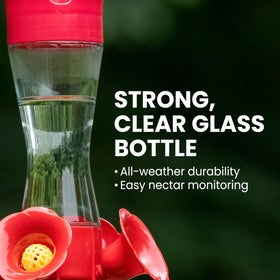 Perky-Pet glass hummingbird feeder with ant moat deterring ants from nectar.
