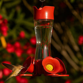 Perky-Pet outdoor hanging hummingbird feeder suitable for patios and gardens.