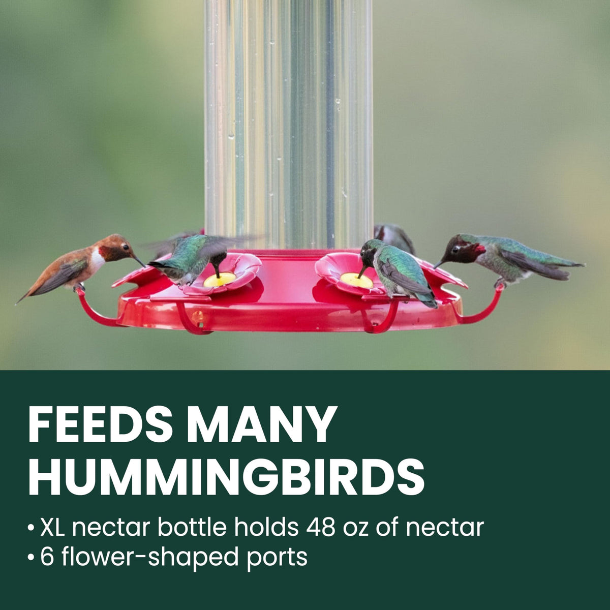 Perky-Pet Grand Master six feeding ports attract hummingbirds efficiently.