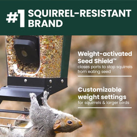 Guest access feature to share live streams and media securely