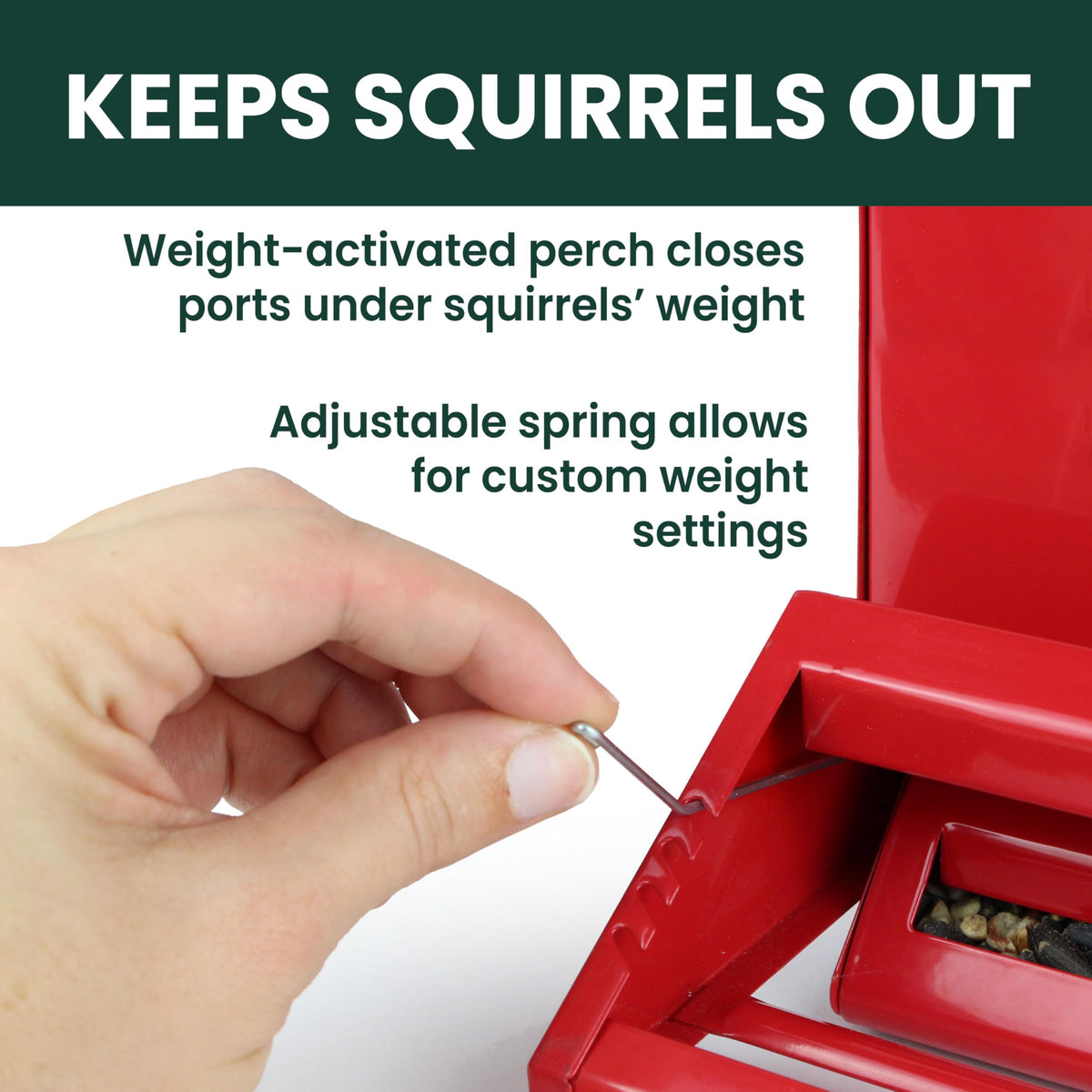Hangs or pole mounts offer flexible placement in yard