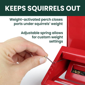 Hangs or pole mounts offer flexible placement in yard