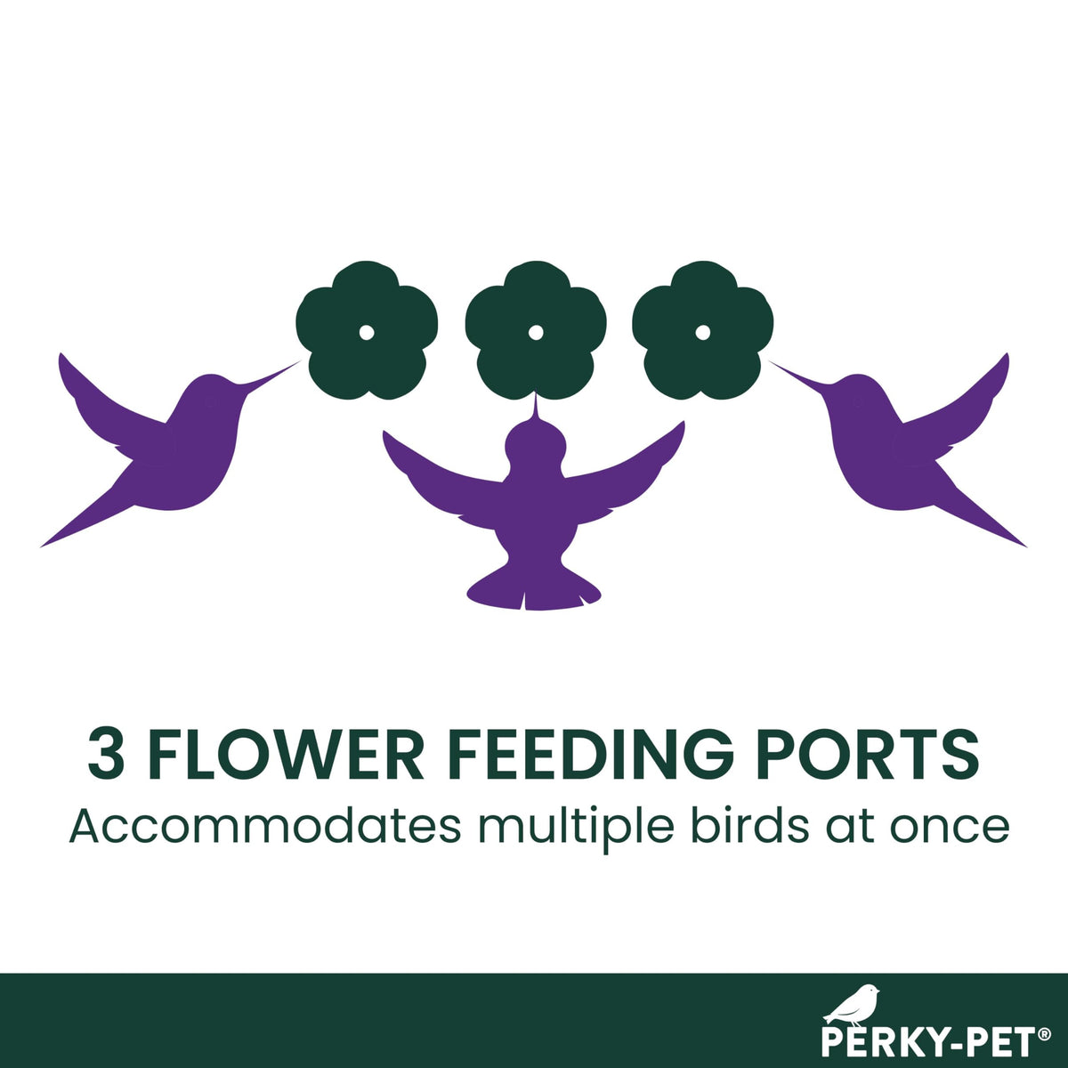 Perches and ports on the Perky-Pet feeder support comfortable sipping