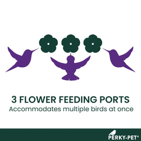 Perches and ports on the Perky-Pet feeder support comfortable sipping
