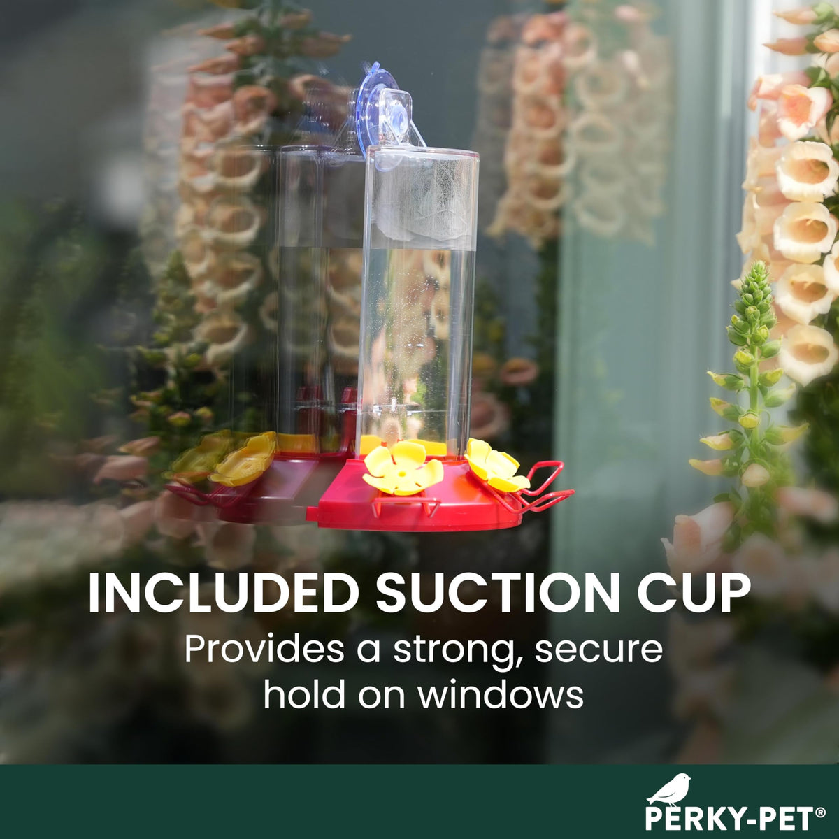 Feeder mounts via suction cup for window placement or wall hanging