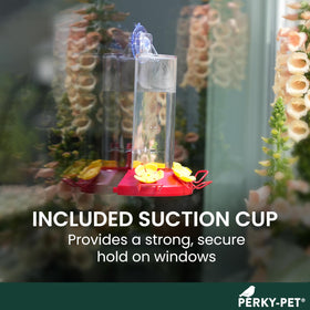 Feeder mounts via suction cup for window placement or wall hanging