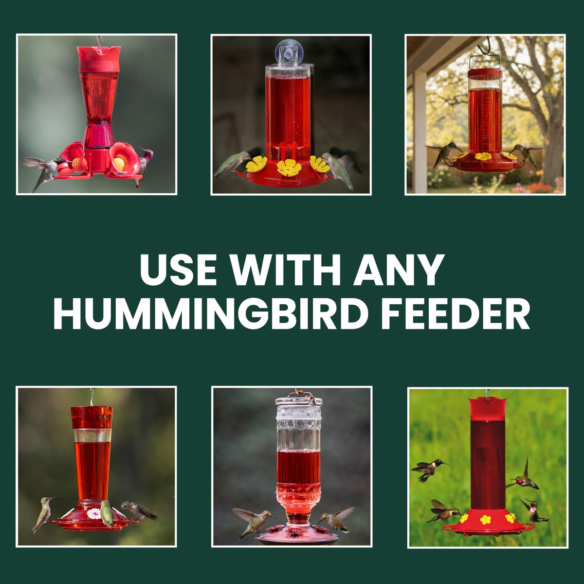Hummingbird visits feeder with Perky-Pet nectar