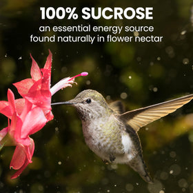 Perky-Pet hummingbird feeder with nectar